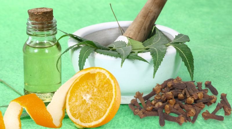 Remedio casero para ahuyentar hormigas: naranja, clavo de olor y aceite neem