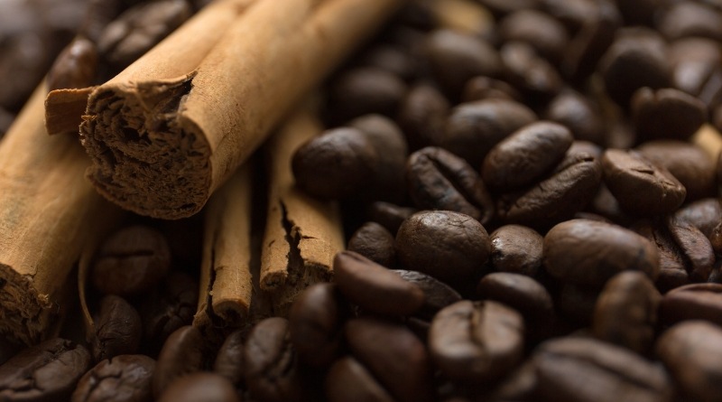 El café molido y la canela son remedios caseros popularess para eliminar hormigueros