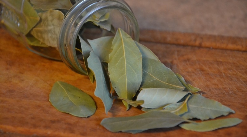 Preparar un repelente casero de cucarachas con hojas de laurel es muy fácil y no requiere muchos ingredientes