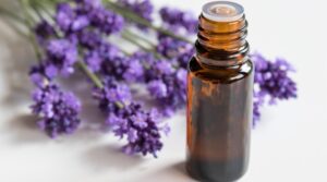 Aroma a lavanda: para qué sirve ¡la respuesta te sorprenderá!