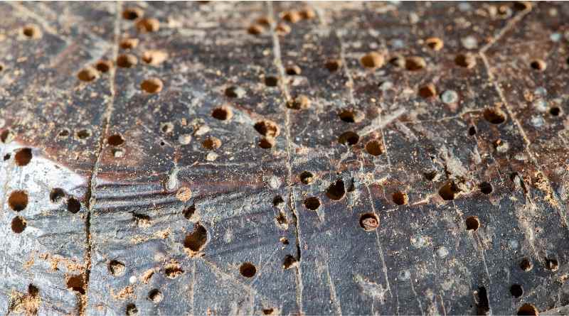 Existen otros métodos no químicos que pueden ser efectivos para erradicar la carcoma de la madera