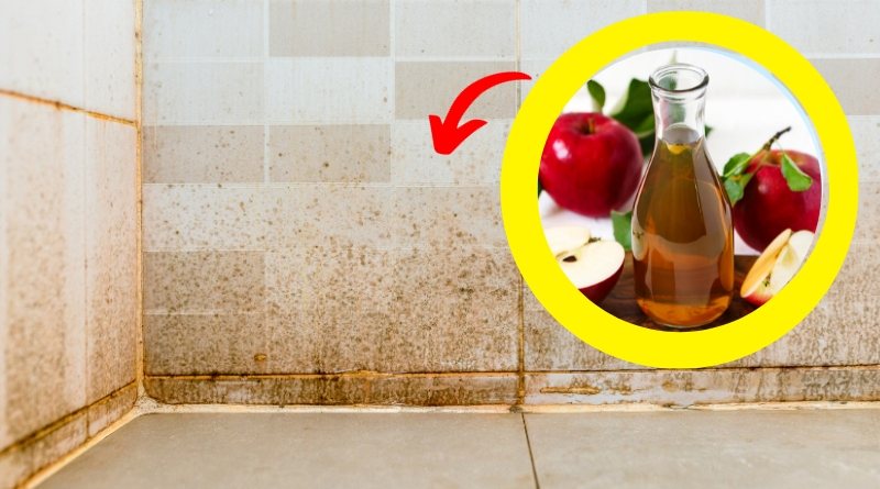 Sigue estos fabulosos tips y consejos sobre cómo eliminar el sarro de las paredes del baño