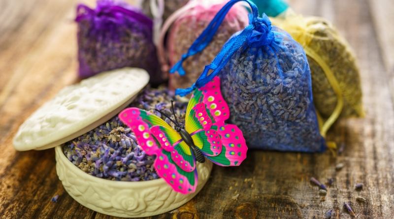 El aroma de la lavanda es uno de los más queridos y reconocidos en el mundo