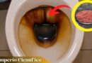 Caso EXTREMO de sarro: usa ácido muriático para limpiar baños