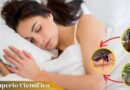 Los 3 mejores remedios naturales para Alejar mosquitos al dormir