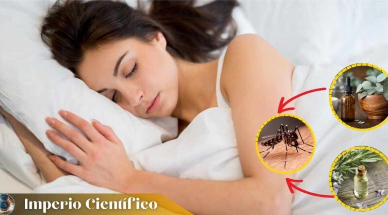 Los 3 mejores remedios naturales para Alejar mosquitos al dormir